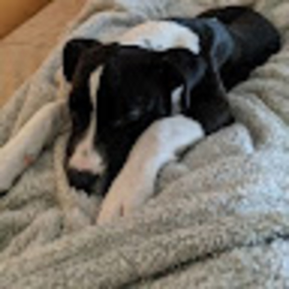 Meet your Posher, Ryan - Picture 1 of 1